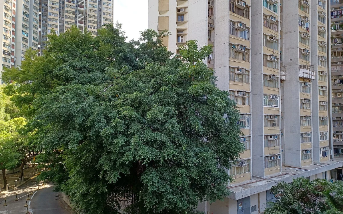田景邨屋苑外觀