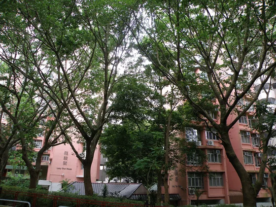 龍欣苑屋苑外觀
